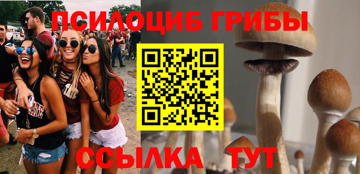 Псилоцибиновые грибы мицелий  Галлюциногенные грибы Cubensis  Вход с VPN  Лабытнанги 